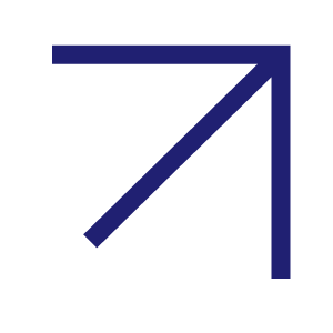 SAAM* Scholen Safari